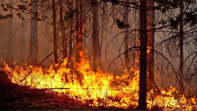 В МЧС назвали основную причину пожаров в России