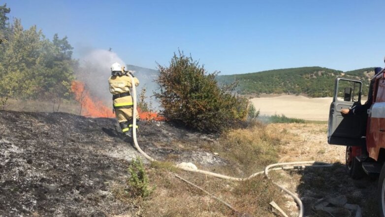 В Крыму природный пожар уничтожил растительность на площади в 1 гектар