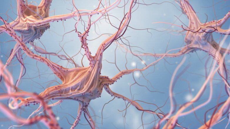Раковые клетки могут напрямую «подключаться» к нейронам мозга