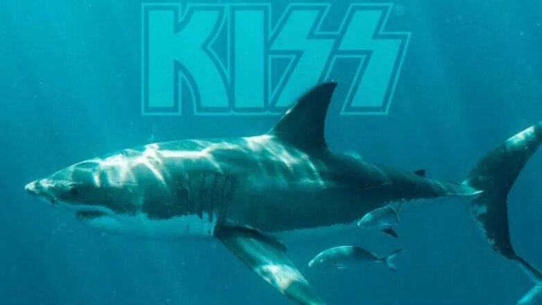 Группа Kiss даст подводный концерт в Индийском океане