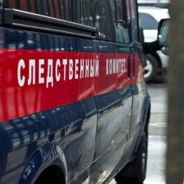 Четверо полицейских стали фигурантами дела о незаконной миграции в Подмосковье
