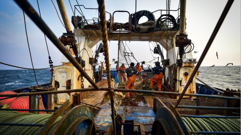 Рыбаки заявили о потере более ₽150 млрд из-за морской границы с США