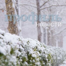 Снегом покрыло 15-20% территории России, заявил Вильфанд