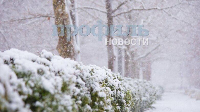 Синоптики назвали дату наступления зимы в Москве