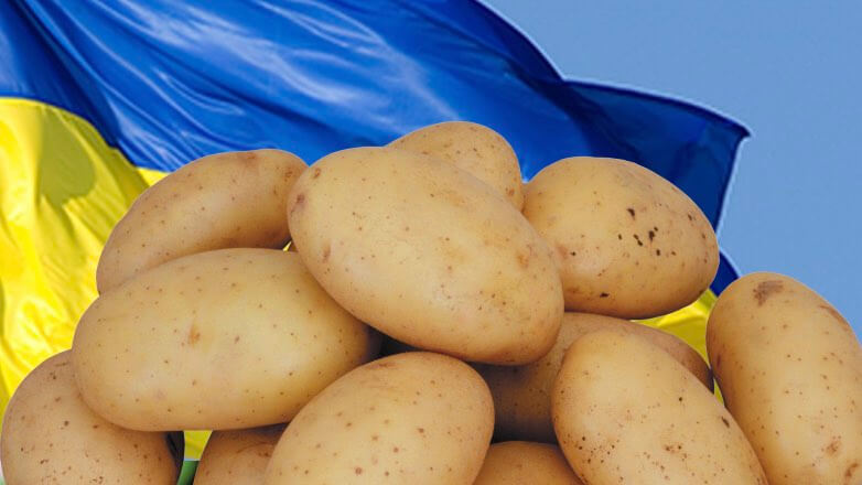 На Украине в два раза подорожал картофель