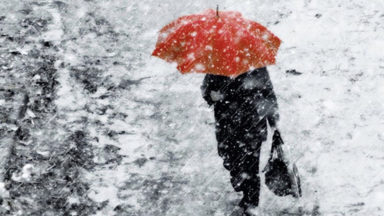 Синоптики предупредили москвичей о мокром снеге