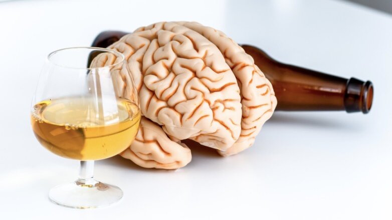 Найдена связь между предрасположенностью к алкоголизму и объёмом мозга