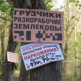 В лесах Подмосковья 11 тыс. деревьев освободили от незаконной рекламы