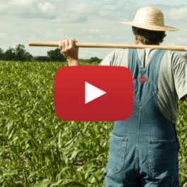 В Крыму налоговые инспекторы нашли «серого» фермера с помощью YouTube