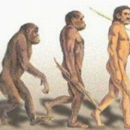 Ученые поставили под сомнения условия эволюции людей