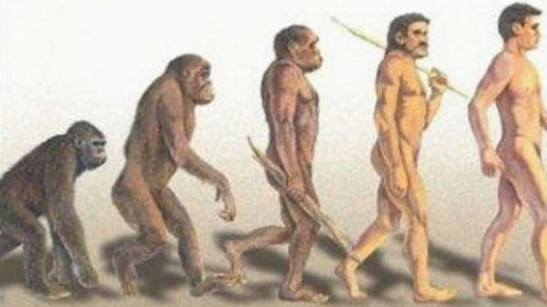 Ученые поставили под сомнения условия эволюции людей