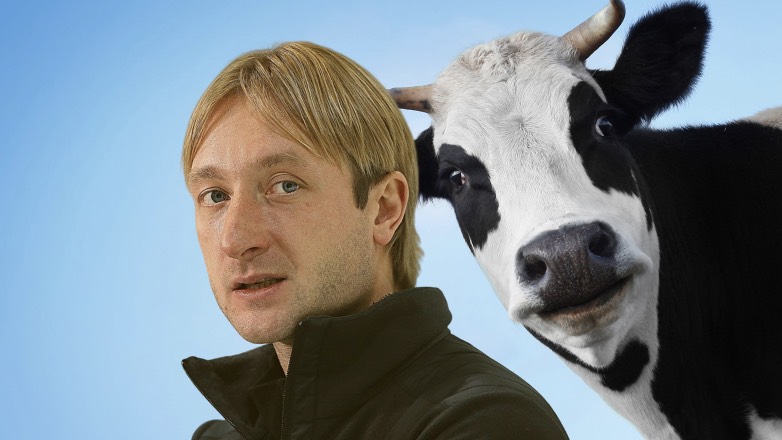 Евгений Плющенко устроил жене сюрприз с коровами