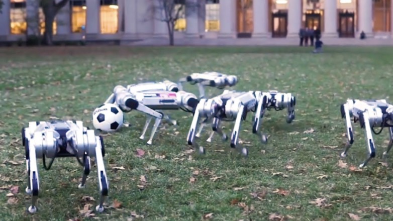 Роботов Mini Cheetah, играющих в футбол, показали на видео