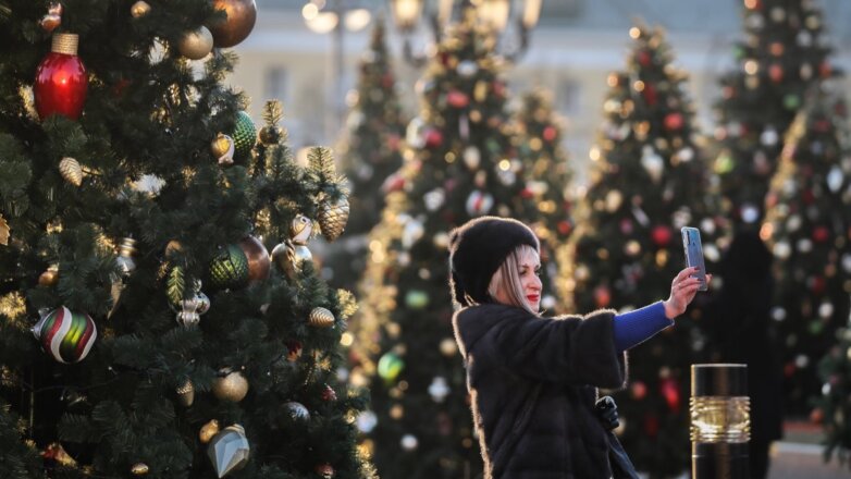 Россиянам предложили сокращенную систему новогодних праздников