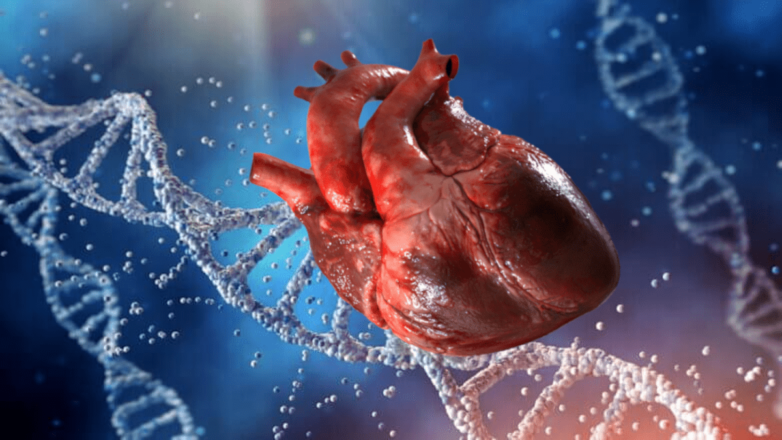 Кардиологи назвали возможные причины внезапной остановки сердца
