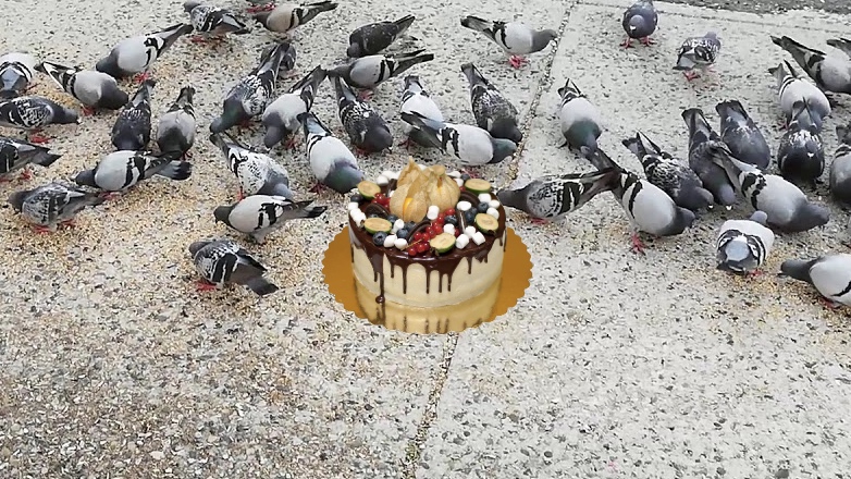 Жительница Ямала в свой день рождения угостила тортом голубей