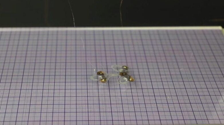 Неубиваемого робота-муху показали на видео