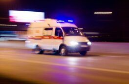В крупном ДТП под Воронежем погибли пять человек
