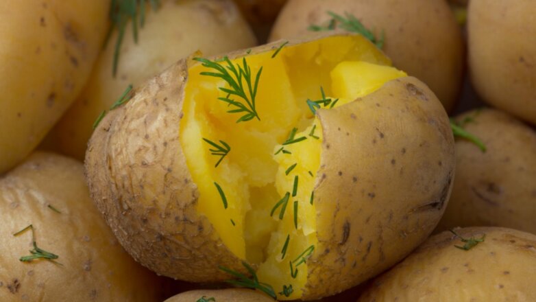 Россиян предупредили о сильном подорожании картофеля осенью