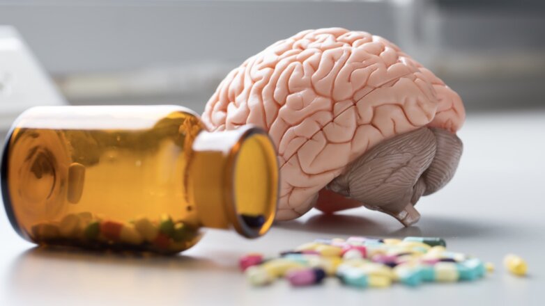 Медики назвали три основные вещества для здоровья мозга