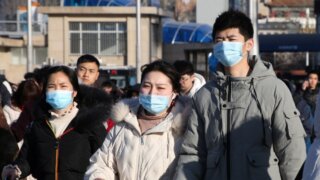 Ученые заподозрили Китай в сокрытии числа зараженных коронавирусом