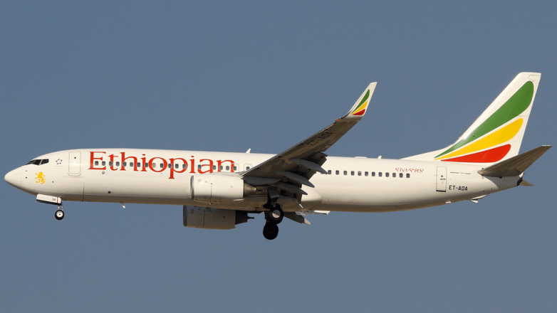 Самолет Ethiopian Airlines изменил курс после столкновения с саранчой