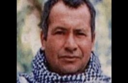 Турция заявила о «нейтрализации» начальника разведки в Ираке