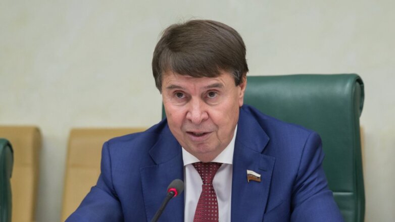 В Совфеде оценили слова экс-главы МИД Латвии об отношении к России