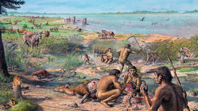Археологи разрушили стереотип о рационе питания древних людей