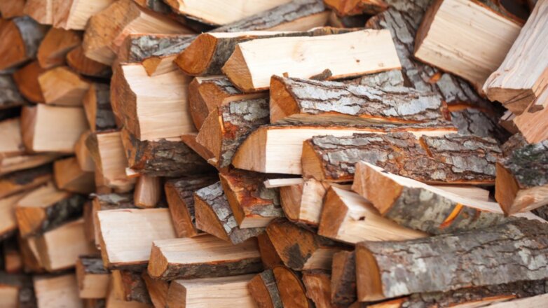 В России резко увеличились продажи дров