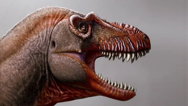 Учёные обнаружили останки уникального тираннозавра