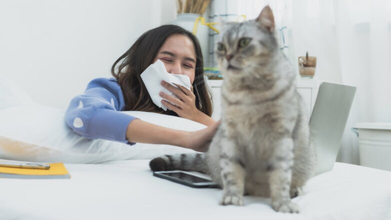 Вакцина от аллергии на кошек появится в России в 2023 году