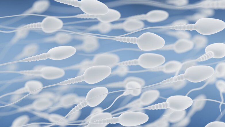 Выживание человечества подставили под угрозу из-за сперматозоидов