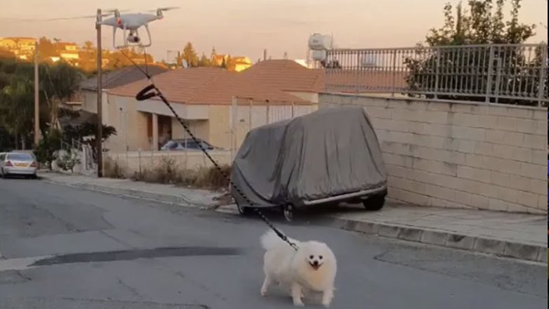 Житель Кипра на карантине выгуливал собаку с помощью дрона