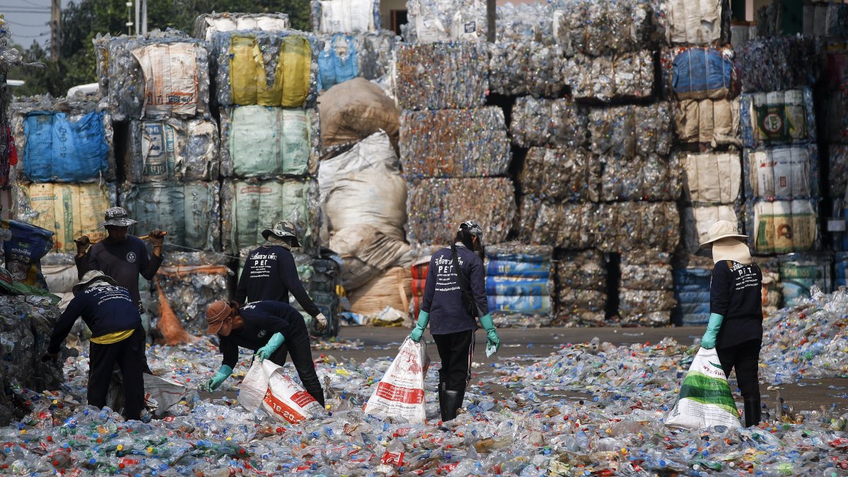 Мусорная проблема. Мусорная проблема Франция фото. Garbage pollution.