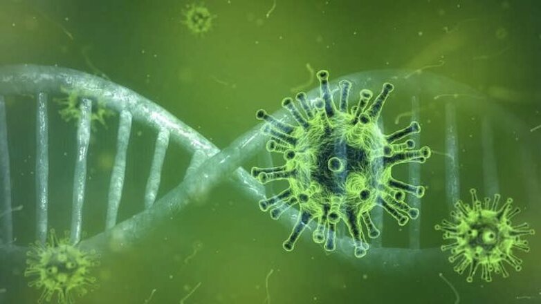Ученые из России расшифровали полный геном коронавируса