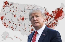 Американские власти поделились прогнозом пика смертности от коронавируса