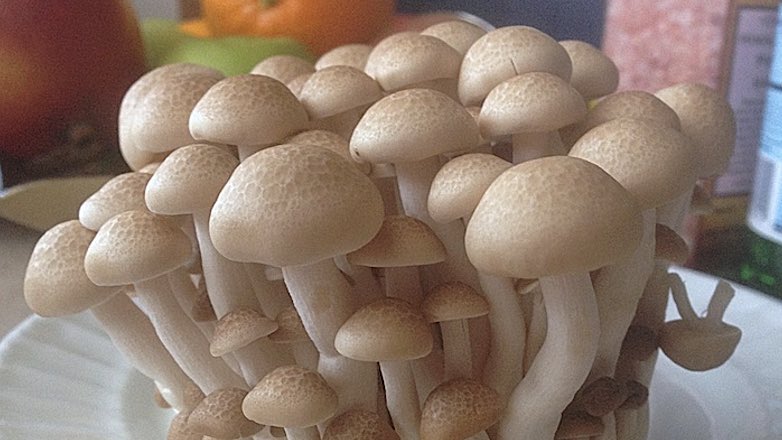 Доказана польза грибов для профилактики рака предстательной железы