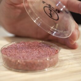 Ни рыба, ни мясо: когда искусственно выращенные продукты войдут в нашу жизнь