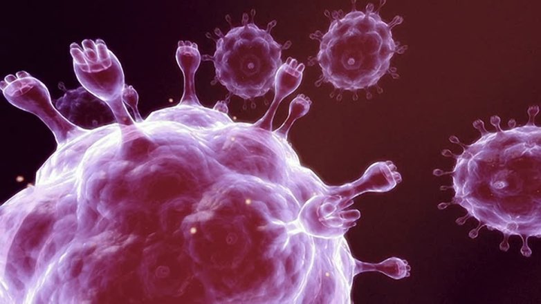 Эпидемиолог оценил, насколько опасна мутация коронавируса