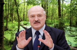 Лукашенко назвал болота Белоруссии здравницей