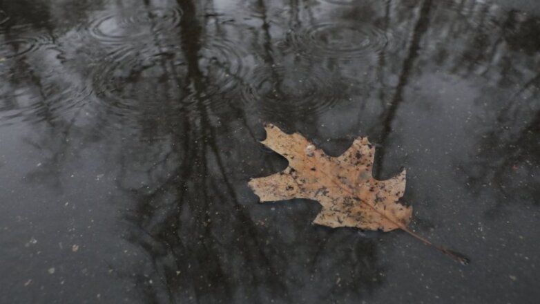 Погода пасмурная дождь лист