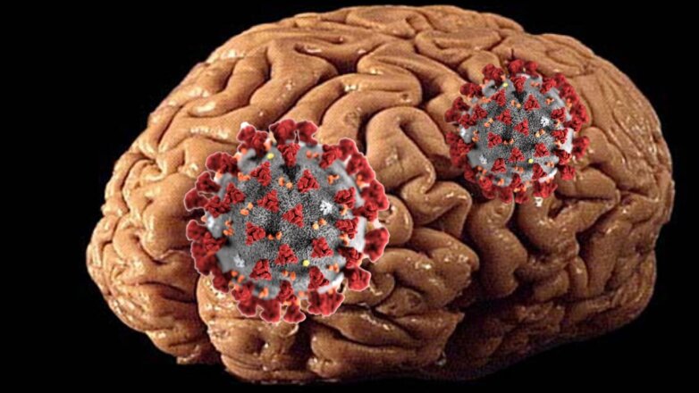 Минздрав рассказал об угрозе поражения мозга и ЦНС коронавирусом