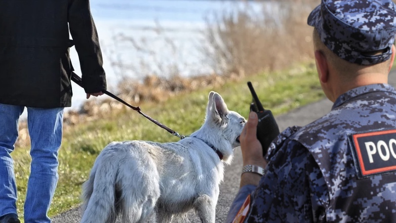 Полиция задержала гулявшего с собакой на Патриарших прудах москвича