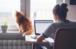 Госдума одобрила в первом чтении законопроект о страховании самозанятых при болезни