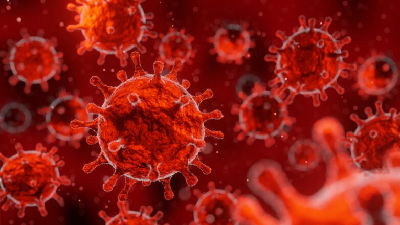 Ученые обнаружили в организме человека «точки входа» для коронавируса