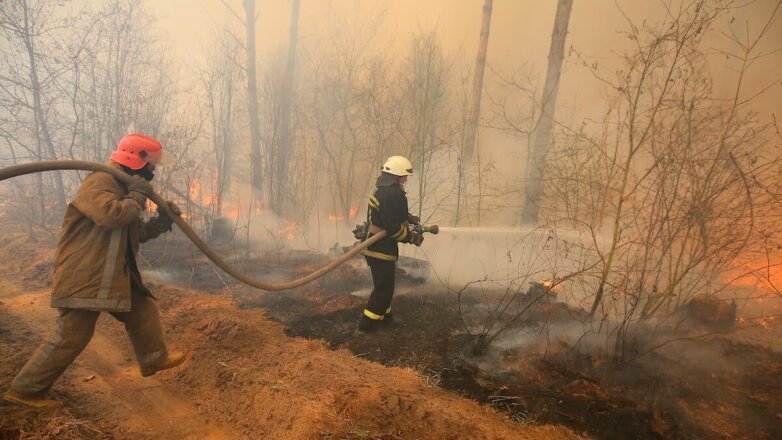 Где летом 2020 года россиян ожидают лесные и торфяные пожары