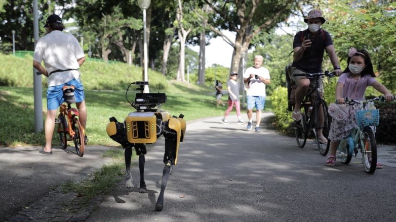 Проверку социальной дистанции в Сингапуре поручили собаке-роботу: видео