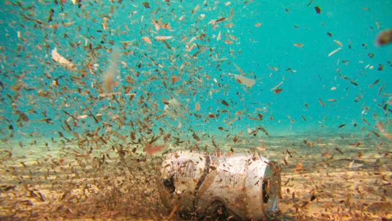 Ученые зафиксировали самую большую концентрацию микропластика в Мировом океане
