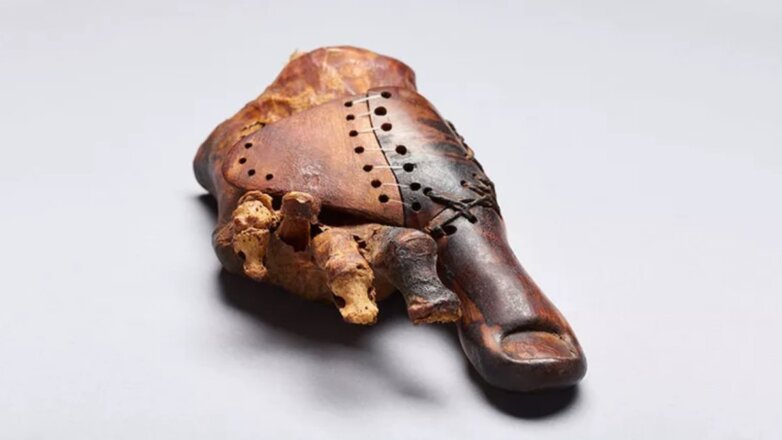 Археологи нашли древнейший в мире протез